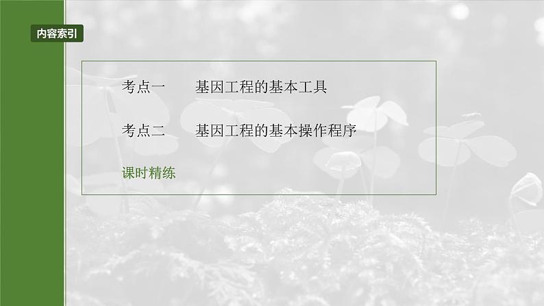 25版:第十单元 第61课时 基因工程的基本工具和基本操作程序(bbgrjjjq)第5页