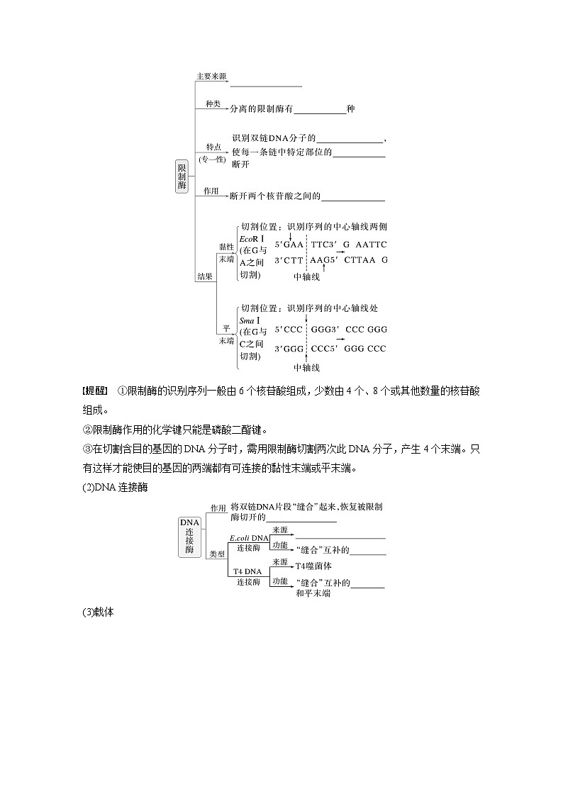 第十单元 第61课时 基因工程的基本工具和基本操作程序-2025年高考生物大一轮复习(课件+讲义+练习)学生版第3页