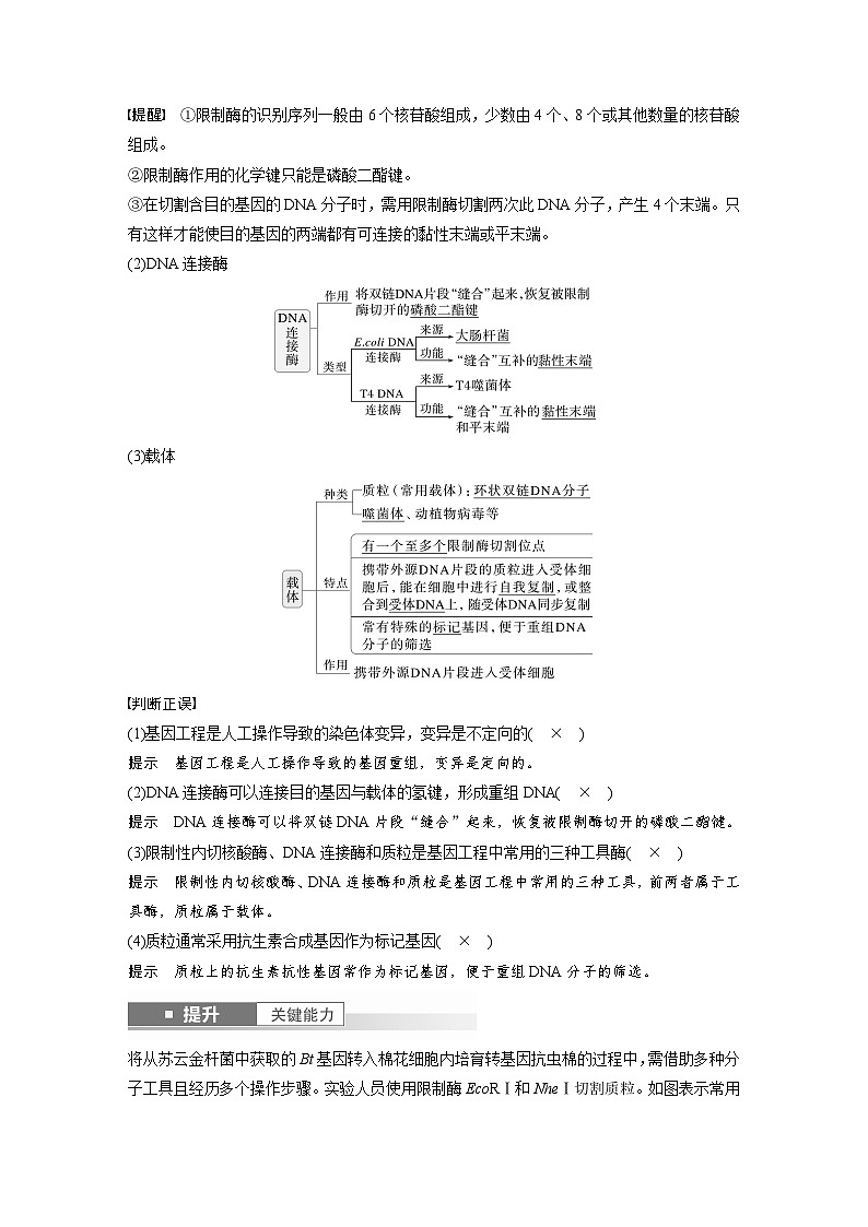 第十单元 第61课时 基因工程的基本工具和基本操作程序-2025年高考生物大一轮复习(课件+讲义+练习)教师版第3页