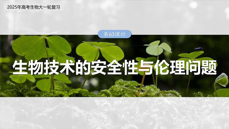 第十单元 第63课时 生物技术的安全性与伦理问题-2025年高考生物大一轮复习(课件+讲义+练习)03