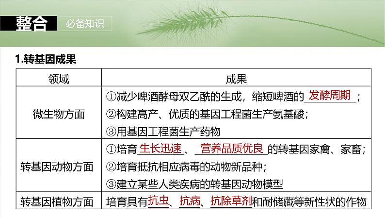 第十单元 第63课时 生物技术的安全性与伦理问题-2025年高考生物大一轮复习(课件+讲义+练习)07