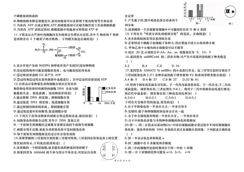 甘肃省民勤县第一中学2024-2025学年高二上学期开学考试生物试题02