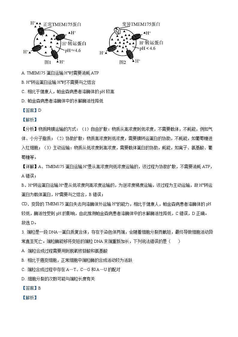 内蒙古自治区金太阳大联考2024-2025学年高三上学期开学生物试题(解析版)02
