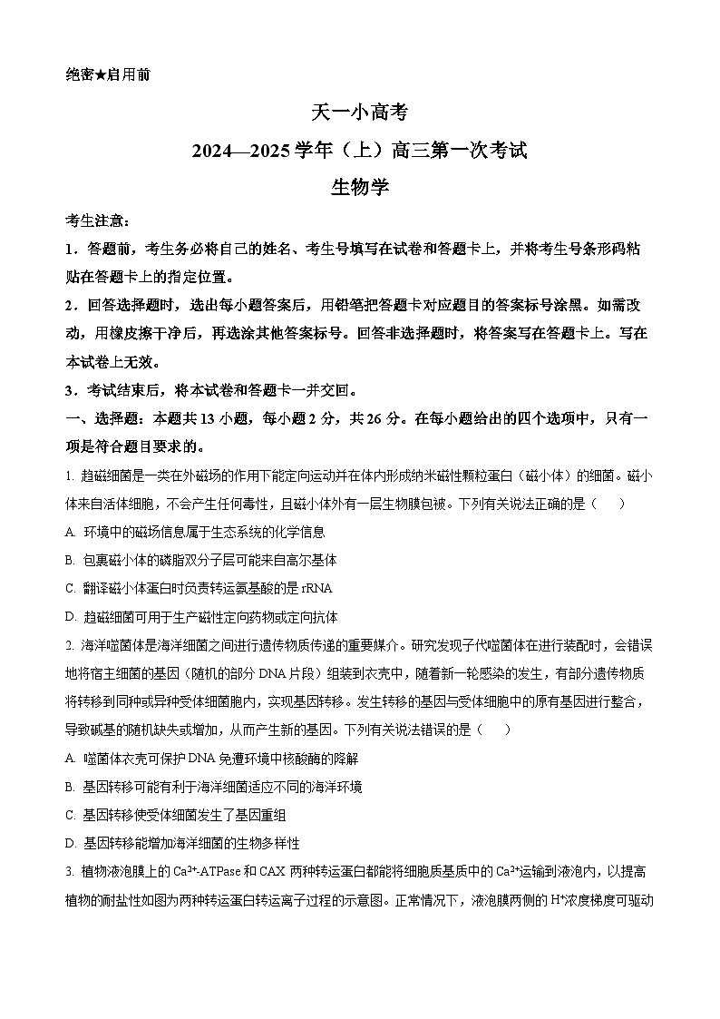 天一大联考2024-2025学年高三第一次考试生物试题(原卷版)01