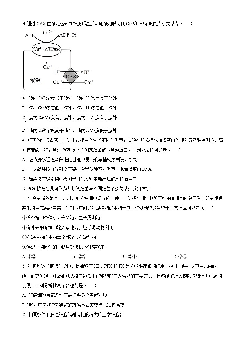 天一大联考2024-2025学年高三第一次考试生物试题(原卷版)02