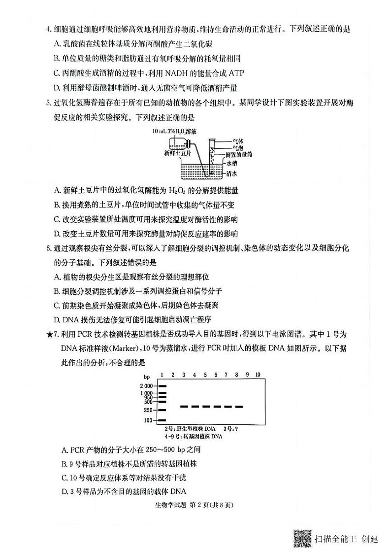 生物丨炎德英才湖南省名校联考联合体2025届高三8月第一次联考(入学摸底检测考试) 生物试卷及答案02