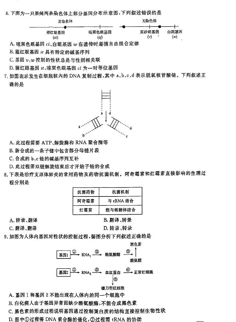 陕西省咸阳市秦都区咸阳市实验中学2024-2025学年高二上学期开学生物试题02