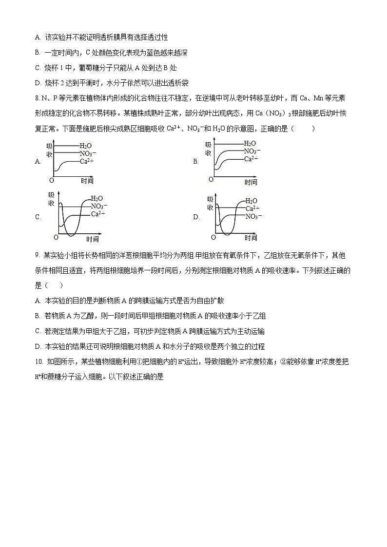 吉林省白城市洮北区白城市第一中学2024-2025学年高三上学期开学考试生物试题(原卷版)第3页