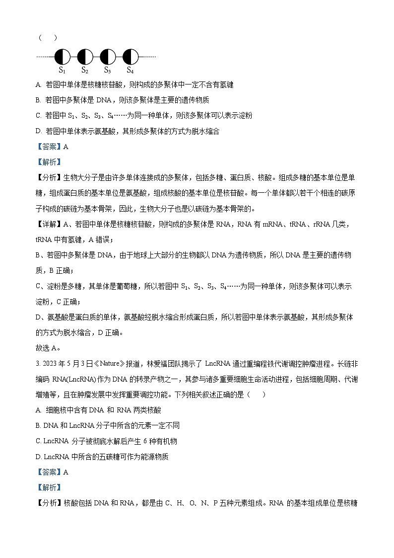 吉林省白城市洮北区白城市第一中学2024-2025学年高三上学期开学考试生物试题(解析版)第2页