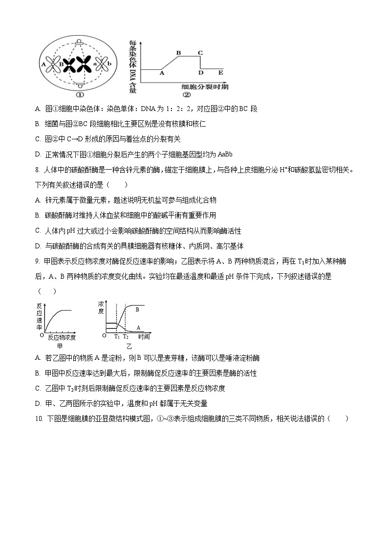 江西省赣州市信丰县信丰县第一中学(江西省信丰中学北校区)2024-2025学年高一上学期开学生物试题(原卷版)第2页
