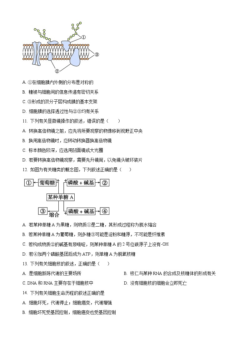 江西省赣州市信丰县信丰县第一中学(江西省信丰中学北校区)2024-2025学年高一上学期开学生物试题(原卷版)第3页
