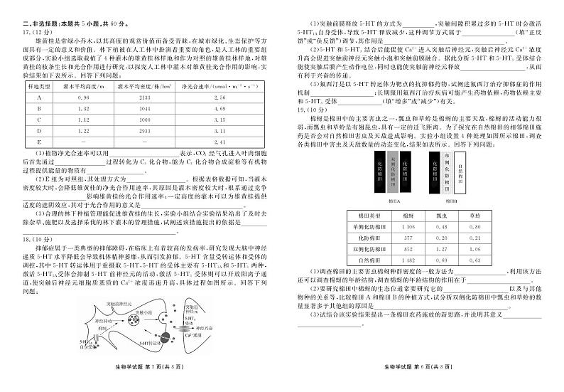 生物丨衡水金卷广东省2025届高三8月摸底联考生物试卷及答案第3页