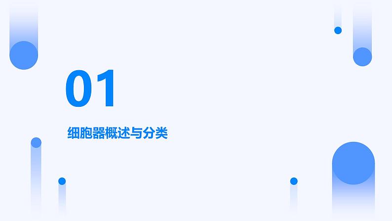 3.2+细胞器之间的分工合作课件第3页