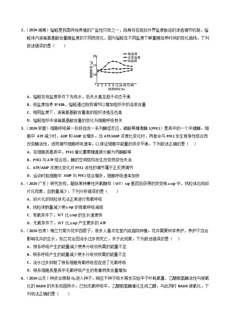 三年(2022-2024)高考生物真题分类汇编(全国通用)专题03 细胞呼吸和光合作用(原卷版)02