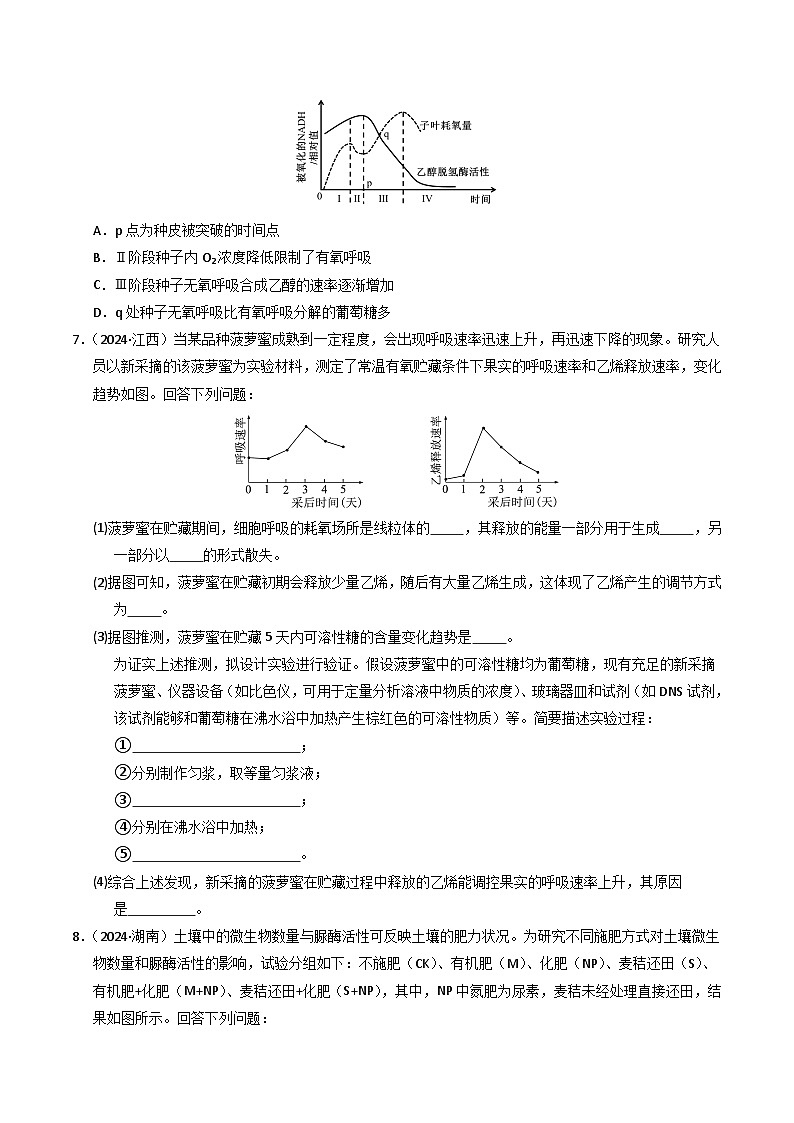 三年(2022-2024)高考生物真题分类汇编(全国通用)专题03 细胞呼吸和光合作用(原卷版)03