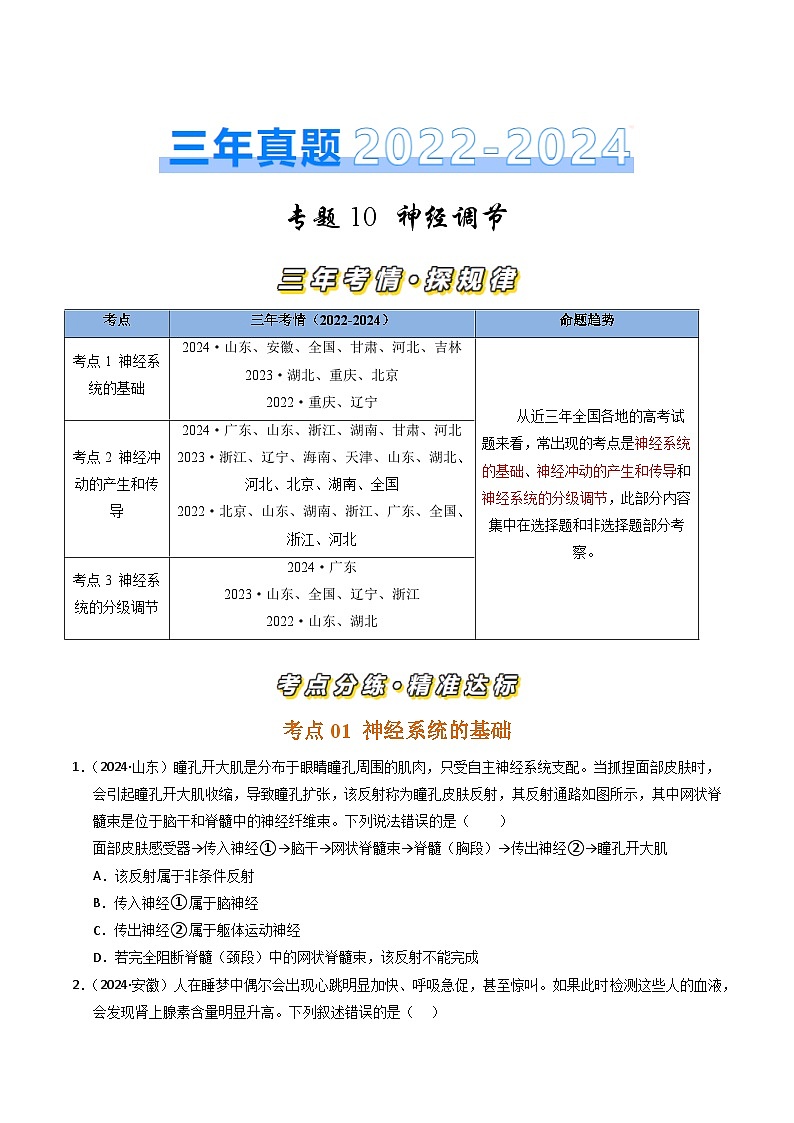 三年(2022-2024)高考生物真题分类汇编(全国通用)专题10 神经调节(原卷版)01
