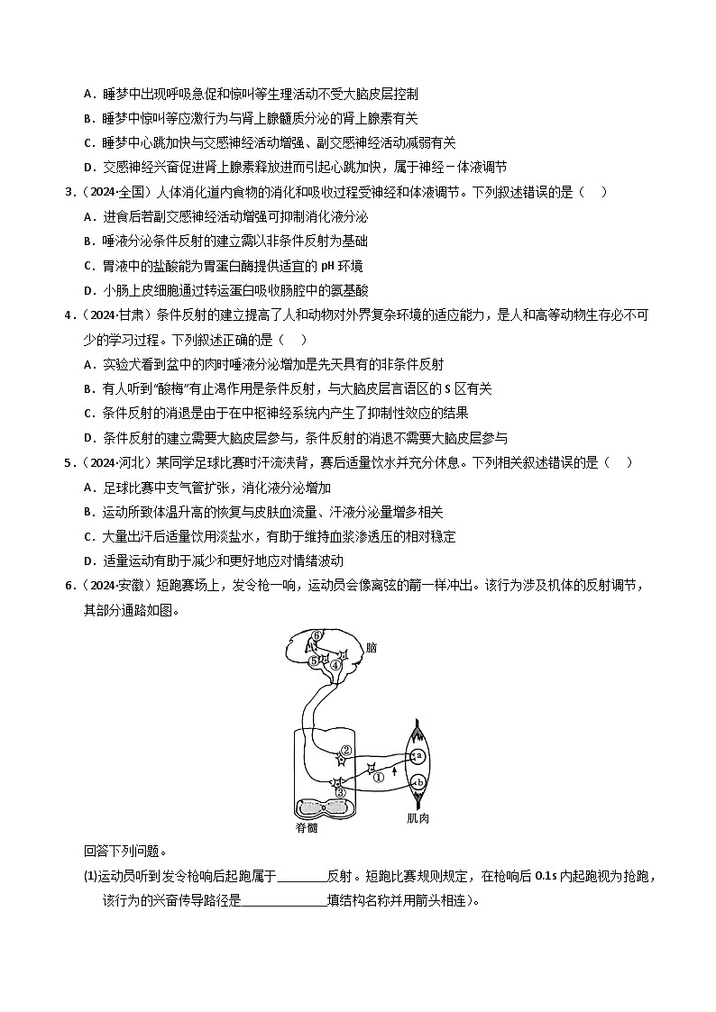 三年(2022-2024)高考生物真题分类汇编(全国通用)专题10 神经调节(原卷版)02