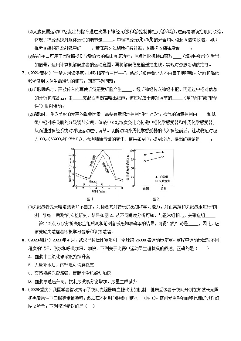 三年(2022-2024)高考生物真题分类汇编(全国通用)专题10 神经调节(原卷版)03