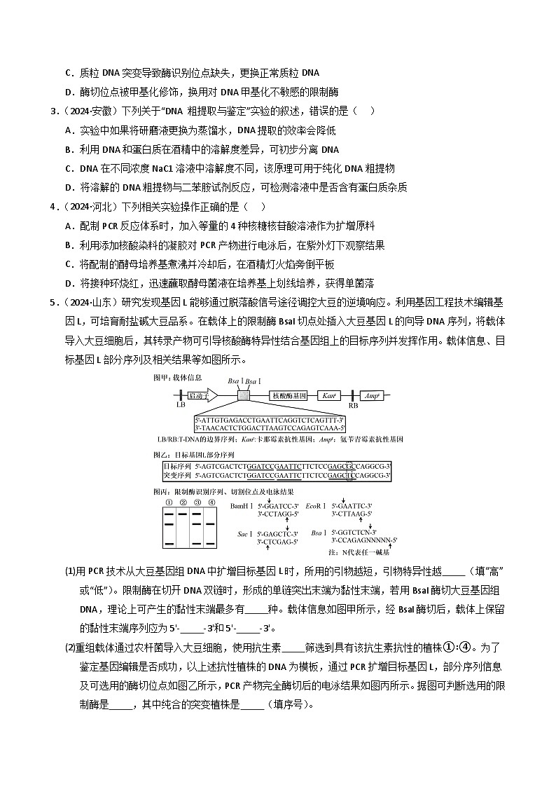 三年(2022-2024)高考生物真题分类汇编(全国通用)专题18 基因工程(原卷版)02