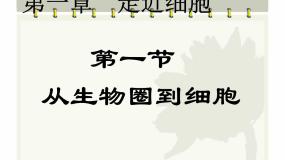 高中第1节 从生物圈到细胞完美版ppt课件