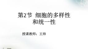 人教版 (新课标)必修1《分子与细胞》第一章 走近细胞第2节 细胞的多样性和统一性优质课课件ppt
