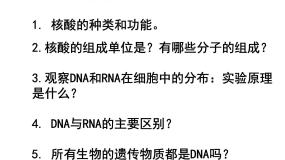 高中人教版 (新课标)第二章 组成细胞的分子第4节 细胞中的糖类和脂质完美版课件ppt