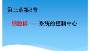 高中生物人教版 (新课标)必修1《分子与细胞》第三章 细胞的基本结构第3节 细胞核──系统的控制中心一等奖课件ppt