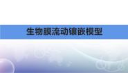高中生物人教版 (新课标)必修1《分子与细胞》第2节 生物膜的流动镶嵌模型精品课件ppt