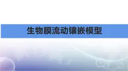 人教版 (新课标)必修1《分子与细胞》 4.2生物膜流动镶嵌模型 课件