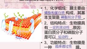 人教版 (新课标)必修1《分子与细胞》第3节 物质跨膜运输的方式公开课课件ppt