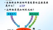 人教版 (新课标)必修1《分子与细胞》第3节 ATP的主要来源──细胞呼吸优质课ppt课件