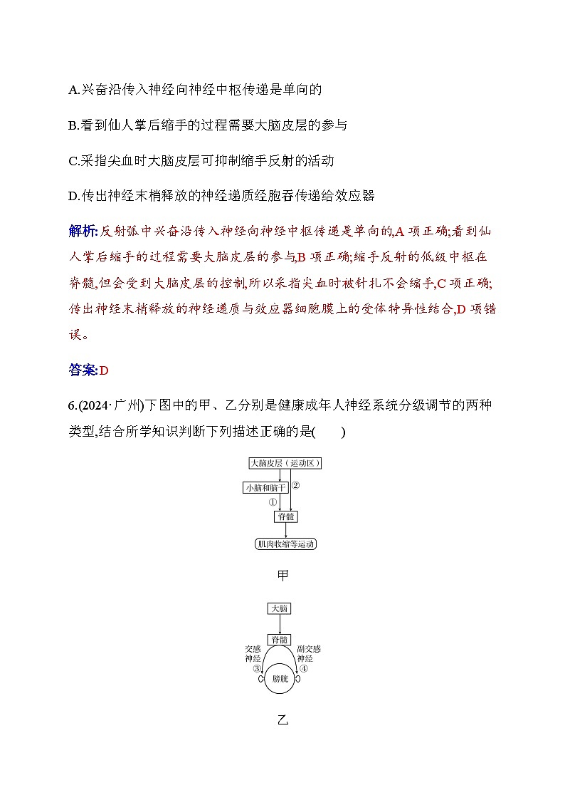 人教版高中生物選擇性必修1第2章第4節(jié)神經(jīng)系統(tǒng)的分級(jí)調(diào)節(jié)檢測含答案第3頁