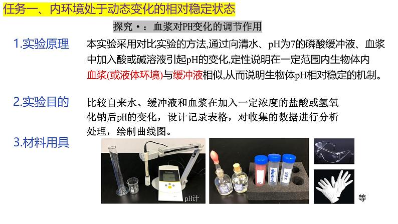 浙教版2019高二生物选择性必修1 1.2内环境的稳态保障正常生命活动 课件07