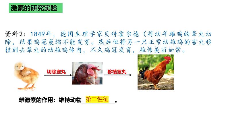 浙教版2019高二生物选择性必修1 3.3激素调节身体多种机能 课件第7页