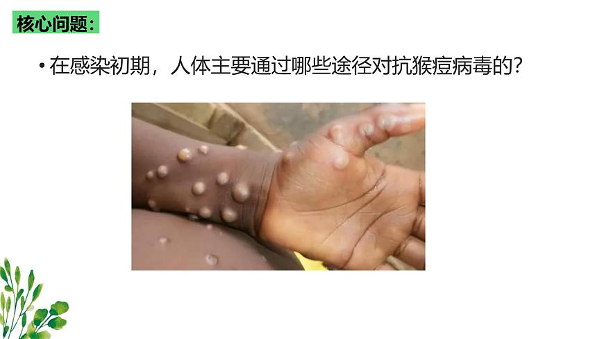 浙教版2019高二生物選擇性必修1  4.2人體通過非特異性免疫對抗病原體 課件第3頁