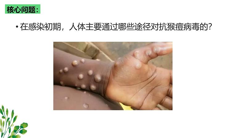 浙教版2019高二生物选择性必修1 4.2人体通过非特异性免疫对抗病原体 课件03