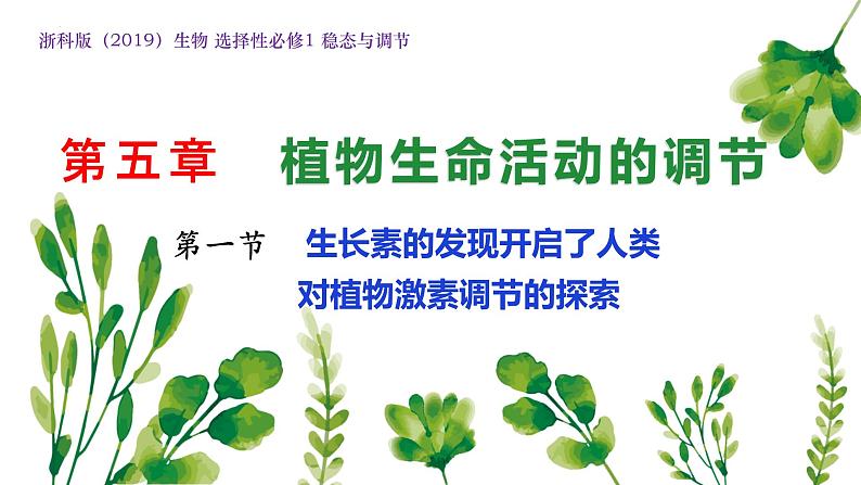 浙教版2019高二生物选择性必修1 5.1生长素的发现开启了人们对植物激素调节的探索 课件01