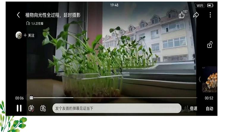 浙教版2019高二生物选择性必修1 5.1生长素的发现开启了人们对植物激素调节的探索 课件02