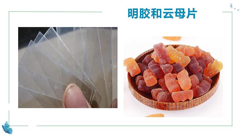 浙教版2019高二生物选择性必修1 5.1生长素的发现开启了人们对植物激素调节的探索 课件08