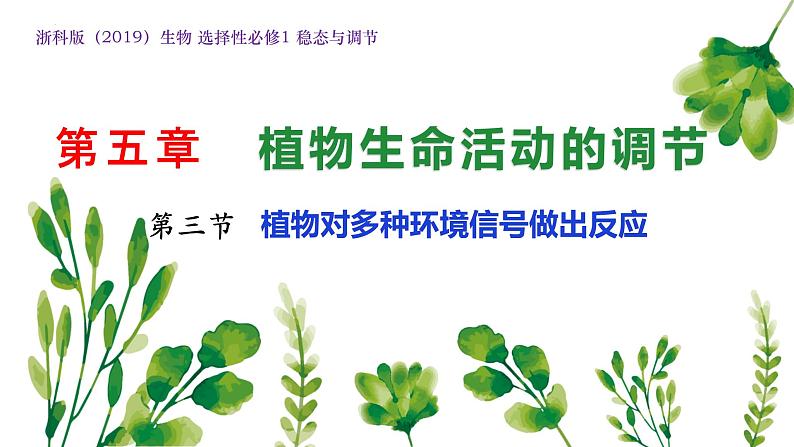 浙教版2019高二生物选择性必修1 5.3植物对多种环境信号做出反应) 课件01
