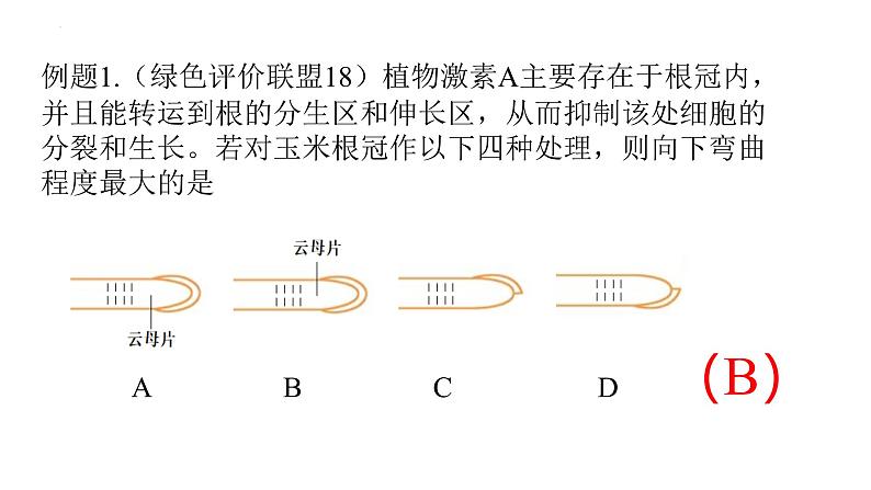 浙教版2019高二生物选择性必修1 5.3植物对多种环境信号做出反应) 课件06