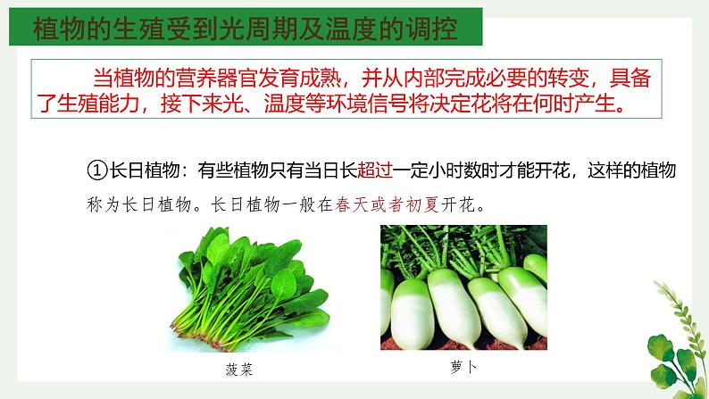 浙教版2019高二生物选择性必修1 5.3植物对多种环境信号做出反应) 课件08