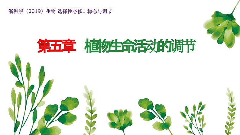 浙教版2019高二生物选择性必修1 第五章植物生命活动的调节 章末复习课件第1页