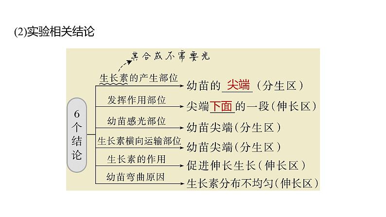 浙教版2019高二生物选择性必修1 第五章植物生命活动的调节 章末复习课件第7页