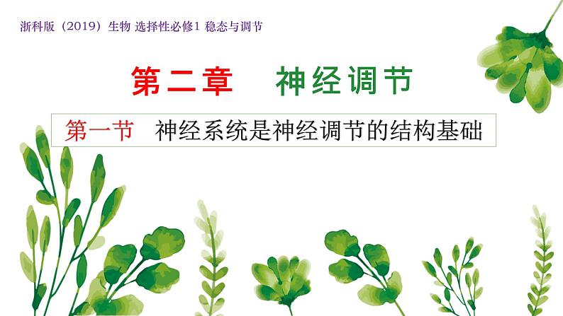 浙教版2019高二生物选择性必修1 2.1神经系统是神经调节的结构基础 课件01