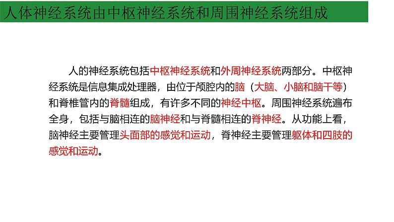 浙教版2019高二生物选择性必修1 2.1神经系统是神经调节的结构基础 课件06