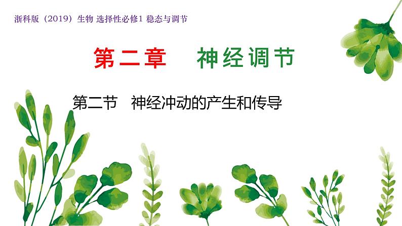 浙教版2019高二生物选择性必修1 2.2神经冲动的产生和传导 课件01
