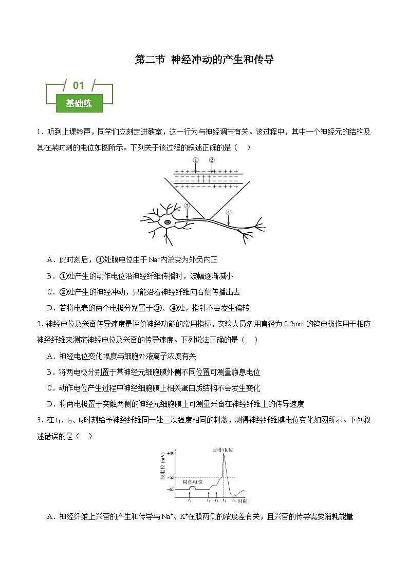 浙教版2019高二生物选择性必修1 2.2神经冲动的产生和传导 分层练习01