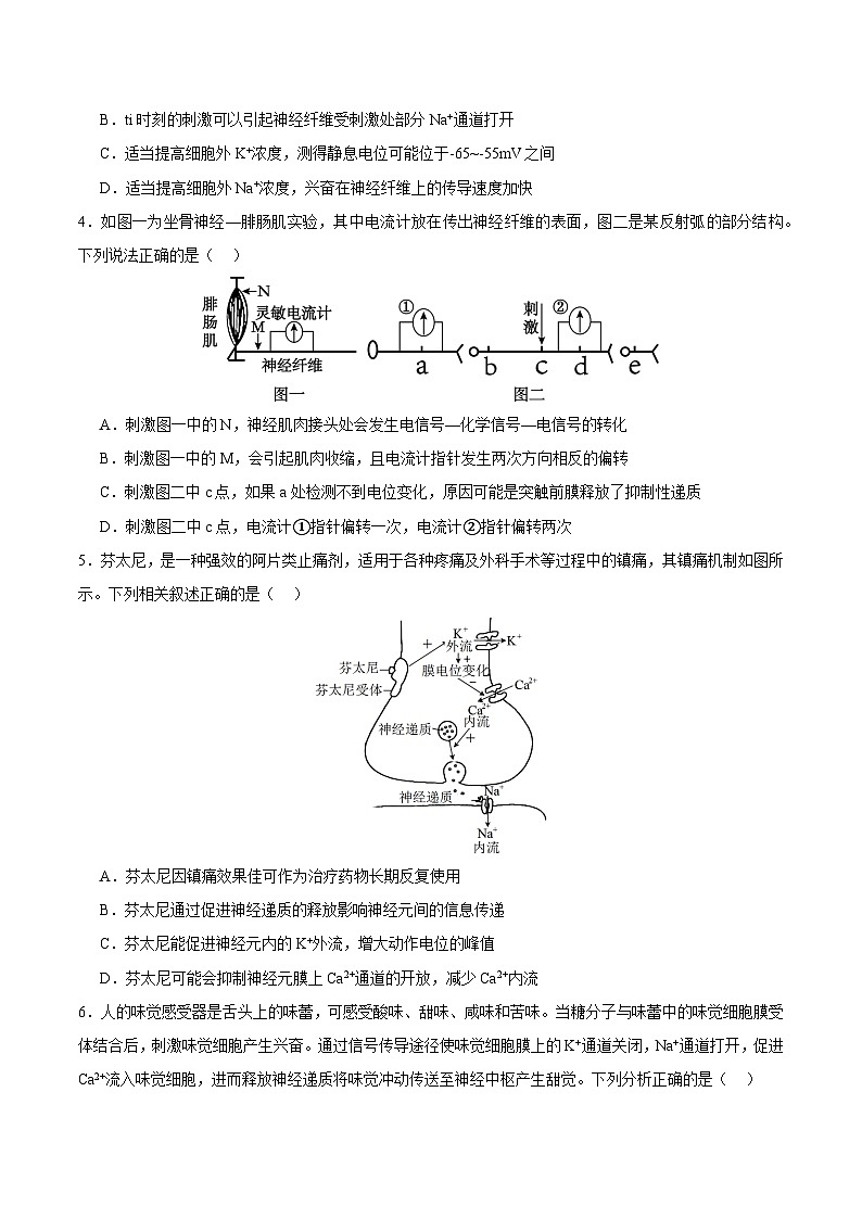浙教版2019高二生物选择性必修1 2.2神经冲动的产生和传导 分层练习02