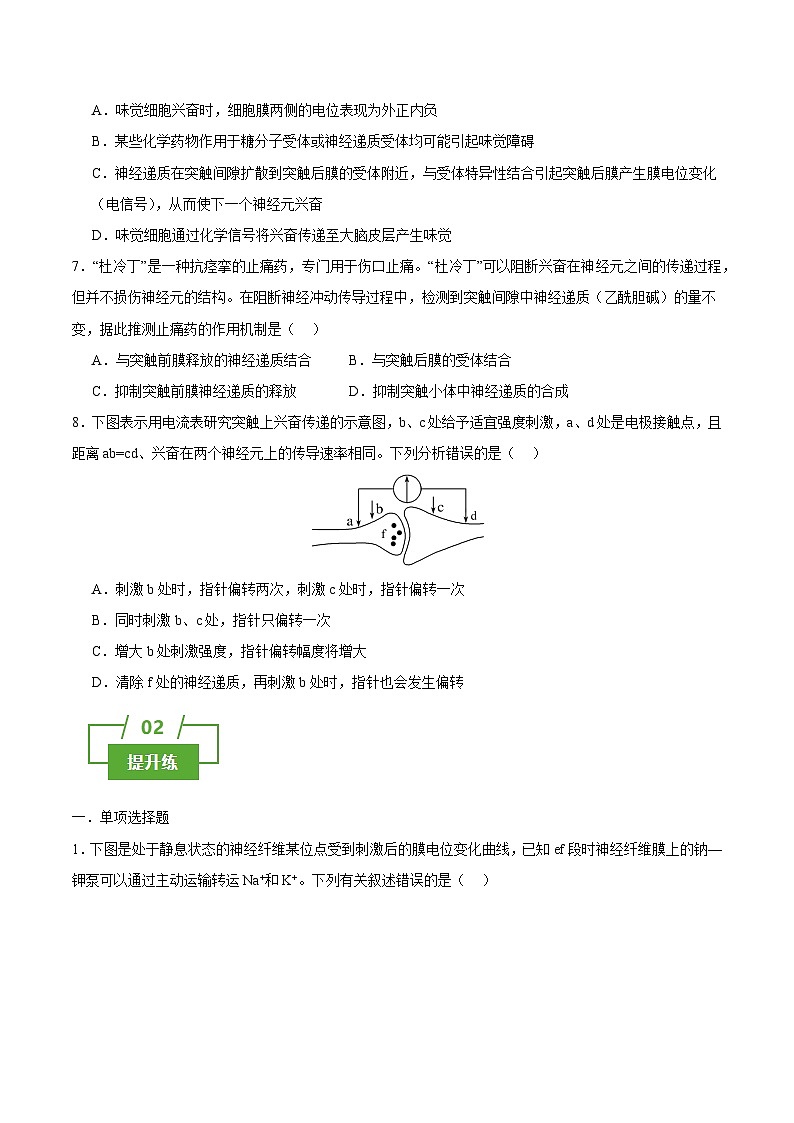 浙教版2019高二生物选择性必修1 2.2神经冲动的产生和传导 分层练习03